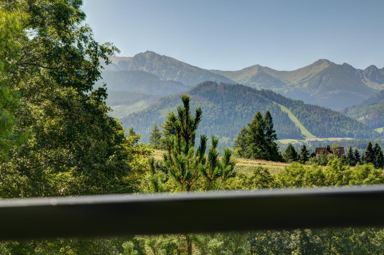 Apartamenty Willa Olsza Wood House & Mountain View & Sauna Закопане Екстер'єр фото